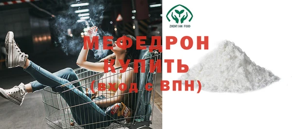 индика Елабуга