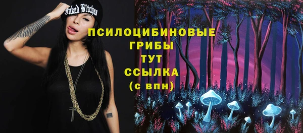 дживик Елизово