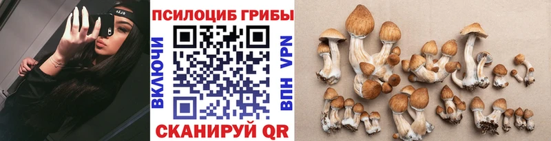 мега   Камень-на-Оби  Псилоцибиновые грибы GOLDEN TEACHER  где купить наркоту 